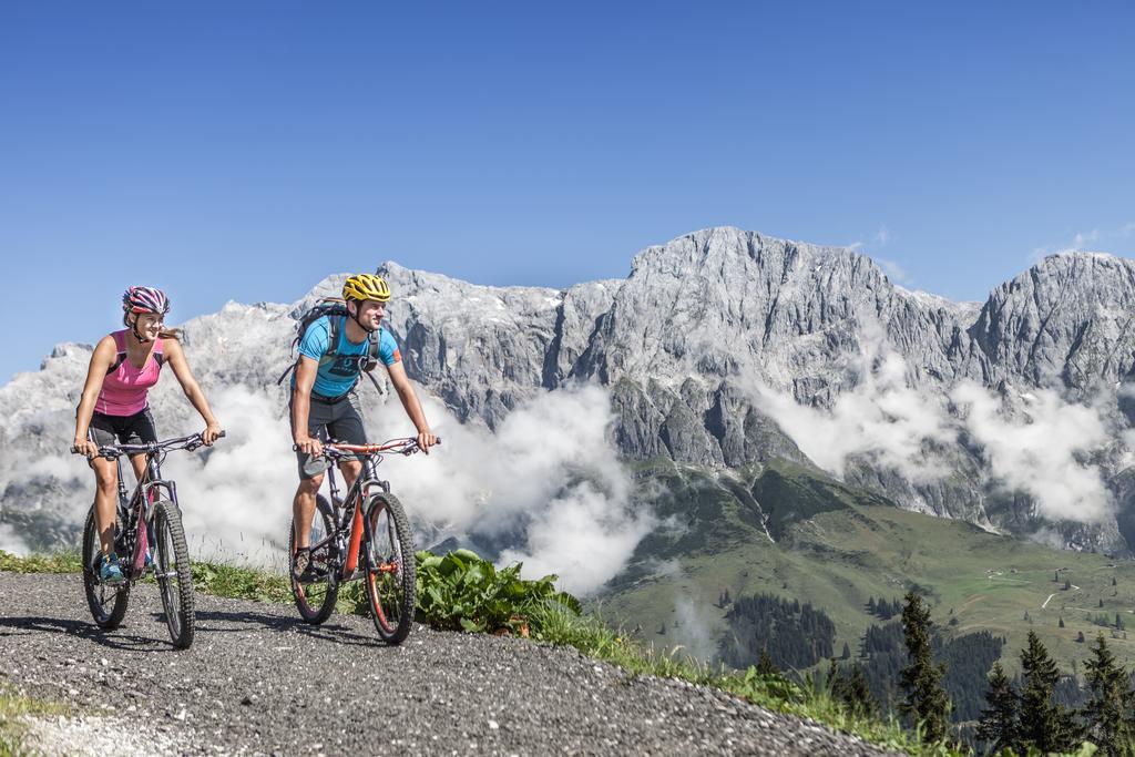 Alpenparks Apartments Maria Alm Dış mekan fotoğraf